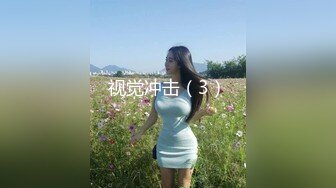 星空无限传媒 XKTC010 女业主的秘密