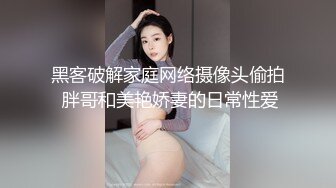 沈樵，全能型暗黑艺人，从知名裸替到锒铛入狱