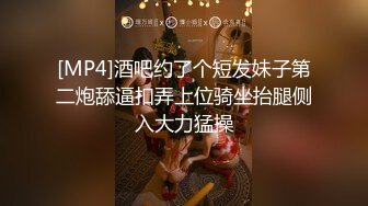 盲盒甜心女仆 情趣娃娃坠入爱河