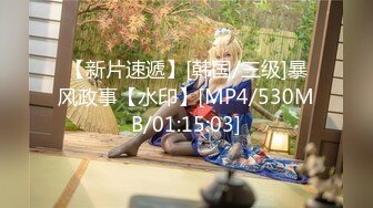 【新片速遞】[韩国/三级]暴风政事【水印】[MP4/530MB/01:15:03]