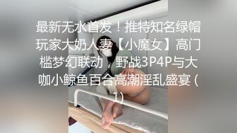 后入骚逼-外加振动棒