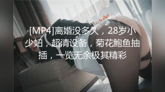 [MP4]离婚没多久，28岁小少妇，超清设备，菊花鲍鱼抽插，一览无余极其精彩