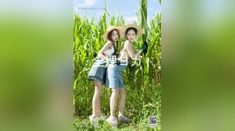 麻豆传媒 mtvq-1 突袭女优家 ep14 节目篇-苏清歌