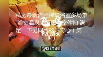 [MP4]知名Twitter户外露出网红FSS冯珊珊闹市区车内全裸自慰揉骚穴