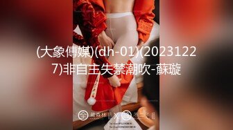 (大象傳媒)(dh-01)(20231227)非自主失禁潮吹-蘇璇