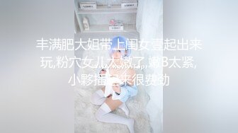 在大使馆的活动上带回来丰胸肥臀的希腊女孩