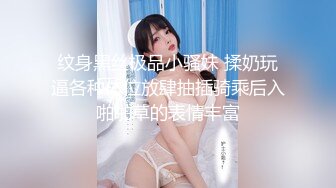 小姐姐，一把豪乳手感极佳，风月老手调情在线教学