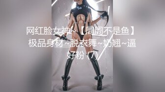 是三不是世 华盛顿兔女郎