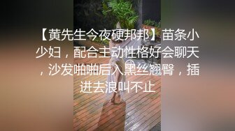 【黄先生今夜硬邦邦】苗条小少妇，配合主动性格好会聊天，沙发啪啪后入黑丝翘臀，插进去浪叫不止