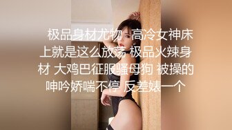 国产麻豆AV MSD MSD069 旗袍女神 新人女优 林晓雪