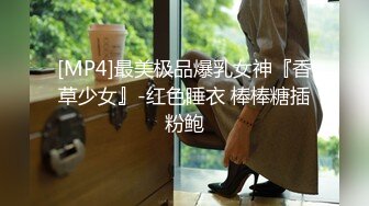 [MP4]麻豆传媒-性之禁脔 渴望强制支配性爱快感 美乳女神袁采菱