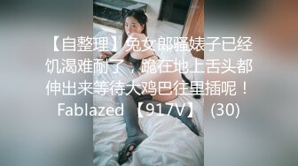 麻豆传媒-致富女人的性玩具-沈娜娜