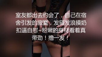 母狗调教出轨少妇4