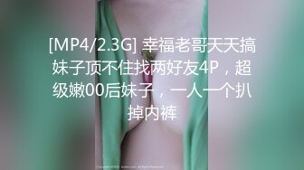 91经典系列资源整理合集P17【33V】 (14)