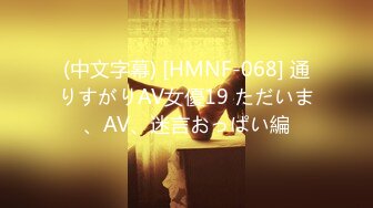 (中文字幕) [HMNF-068] 通りすがりAV女優19 ただいま、AV、迷言おっぱい編