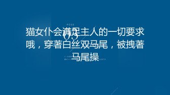 猫女仆会满足主人的一切要求哦，穿著白丝双马尾，被拽著马尾操