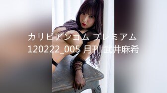 カリビアンコム プレミアム 120222_005 月刊 武井麻希