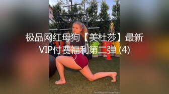 极品网红母狗【美杜莎】最新VIP付费福利第二弹 (4)