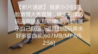 女仆装女奴的散鞭伺候