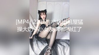 汗だく液だく汁だくSEX ～ぷるぷるおっぱいを弄りまくり～ななみゆい