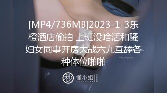 [MP4/609MB]7-23渣先生探花3000元约啪大密范女神，穿上高跟鞋暴操，喜好这一口