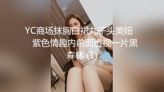 YC商场抹胸白裙丸子头美妞❤️紫色情趣内前面透视一片黑森林 (1)