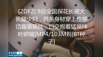 [2DF2] 9总全国探花长裙大长腿少妇，苗条身材穿上性感情趣装黑丝，口交抱着猛操呻吟娇喘[MP4/103MB][BT种子]