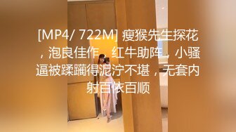 国产麻豆AV 番外 麻豆番外 麻豆导演系列 女贼创空门反遭屋主动用性私刑