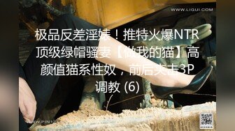 [MP4/ 733M]&nbsp;&nbsp;极品瑜伽教练，第二炮，旗袍美人，黑框眼镜，高跟性爱，真是难得一见的百变俏佳人