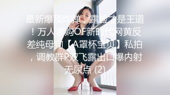 商场女厕偷拍白体恤长发黑v裤小妹两个屁股蛋子真不小