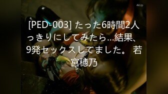 [PED-003] たった6時間2人っきりにしてみたら…結果、9発セックスしてました。 若宮穂乃