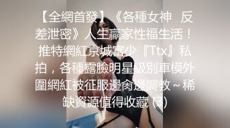 onlyfans推特网红福利 华裔色情女星【Nicole Doshi】和洋男友双飞性爱啪啪道具自慰2