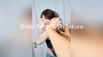 Shibu Record Ch Sakura